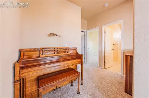 11117 Indian Echo Ter, Peyton, CO 80831 photo 19