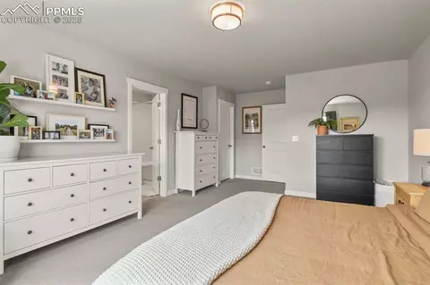 17718 Lemon Rye Loop, Monument, CO 80132 photo 20