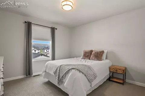 17718 Lemon Rye Loop, Monument, CO 80132 photo 20