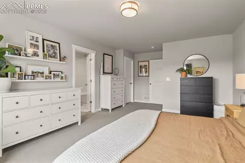 17718 Lemon Rye Loop, Monument, CO 80132 photo 15