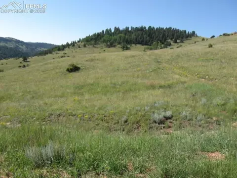 lot9 10 Shideler Ave, Cripple Creek, CO 80813