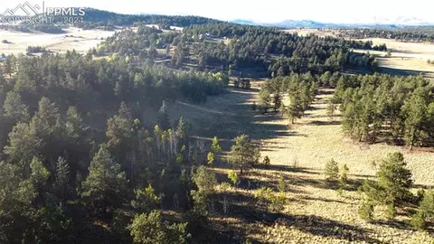 Steel Bit Drive, Lake George, CO 80827
