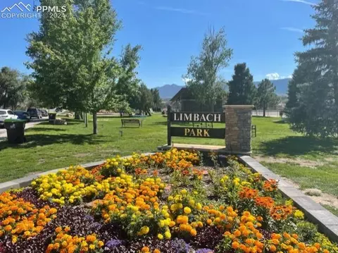 16111 Mountain Flax Dr, Monument, CO 80132 photo 3