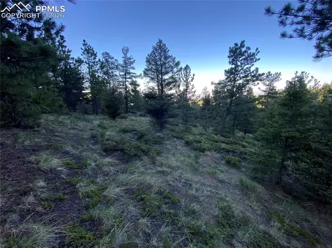 285 Forest Rd, Manitou Springs, CO 80829