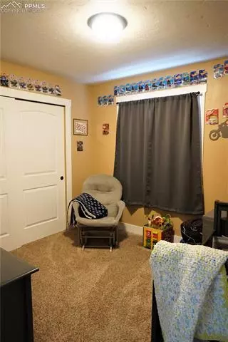 92 Barr Lake Cir, Divide, CO 80814 photo 21