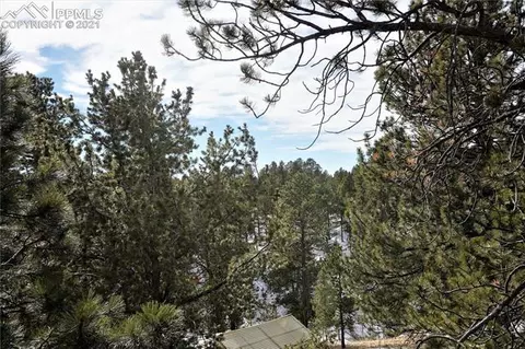 92 Barr Lake Cir, Divide, CO 80814 photo 8