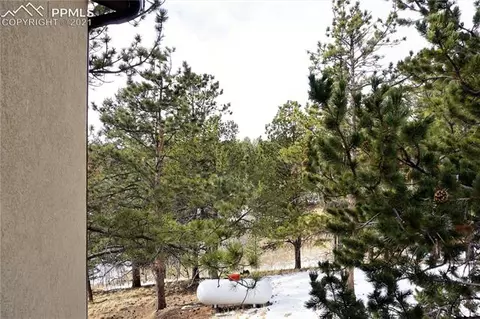 92 Barr Lake Cir, Divide, CO 80814 photo 9