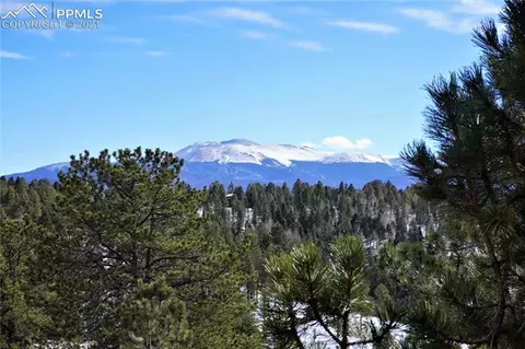 92 Barr Lake Cir, Divide, CO 80814 photo 7