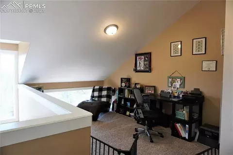 92 Barr Lake Cir, Divide, CO 80814 photo 23