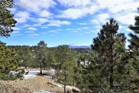 92 Barr Lake Cir, Divide, CO 80814 photo 6