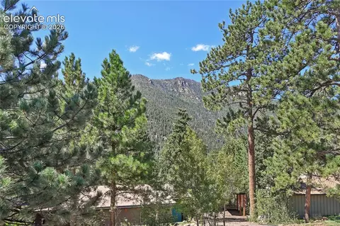 Other - 4455 Heizer St, Cascade, CO 80809 photo 12 of 15