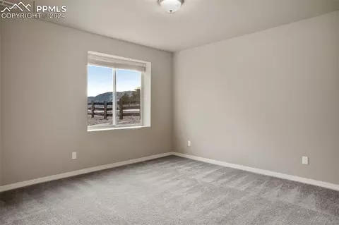 19623 Lindenmere Dr, Monument, CO 80132 photo 31