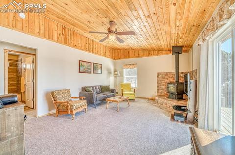 1662 20th Trl, Cotopaxi, CO 81223 photo 13