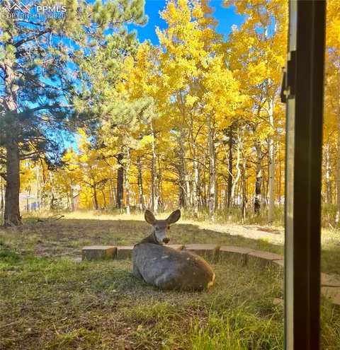 162 Ridge Top Dr, Divide, CO 80814 photo 39