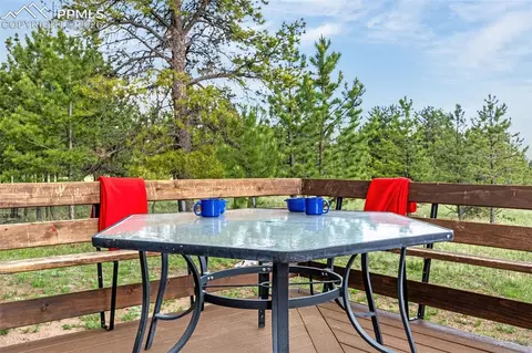 Exterior - 143 Ring Rd, Guffey, CO 80820 photo 8 of 9