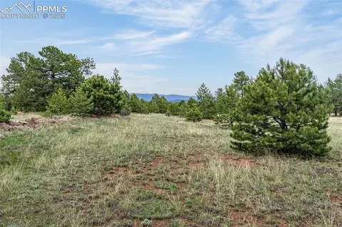 Other - 143 Ring Rd, Guffey, CO 80820 photo 4 of 8