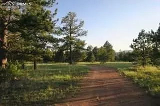 Other - 143 Ring Rd, Guffey, CO 80820 photo 3 of 8