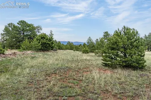 Other - 143 Ring Rd, Guffey, CO 80820 photo 4 of 8