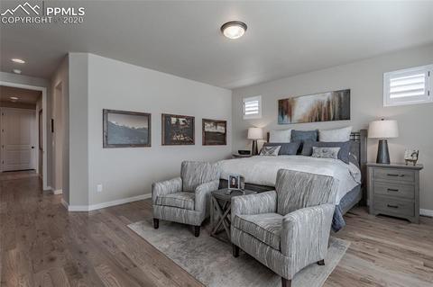 16357 Shadow Cat Pl, Monument, CO 80132 photo 25
