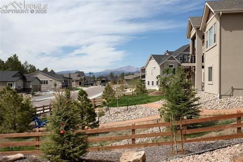 16357 Shadow Cat Pl, Monument, CO 80132 photo 10