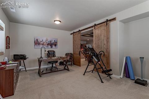 16357 Shadow Cat Pl, Monument, CO 80132 photo 39