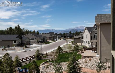 16357 Shadow Cat Pl, Monument, CO 80132 photo 47