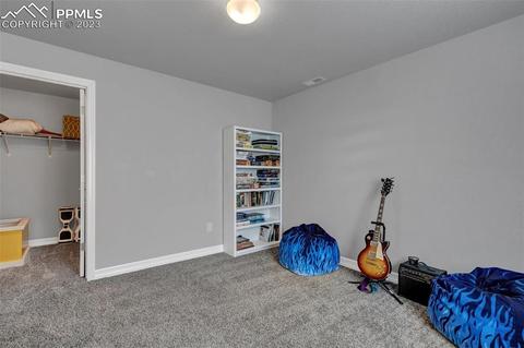 10002 Emerald Vista Dr, Peyton, CO 80831 photo 44