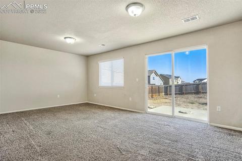 12955 Devils Thumb Pl, Peyton, CO 80831 photo 20