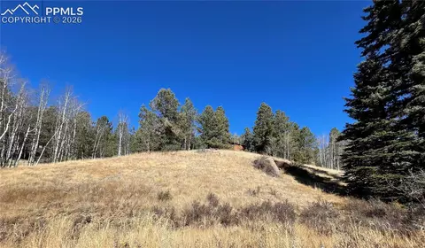 3090 N Mountain Estates Rd, Florissant, CO 80816
