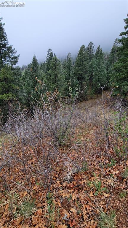 5325 Kulsa Rd, Cascade, CO 80809 photo 1