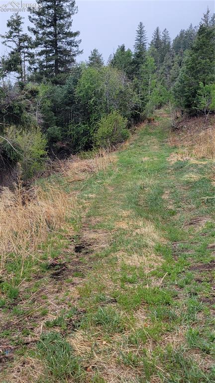 5325 Kulsa Rd, Cascade, CO 80809 photo 5