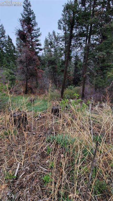5325 Kulsa Rd, Cascade, CO 80809 photo 4
