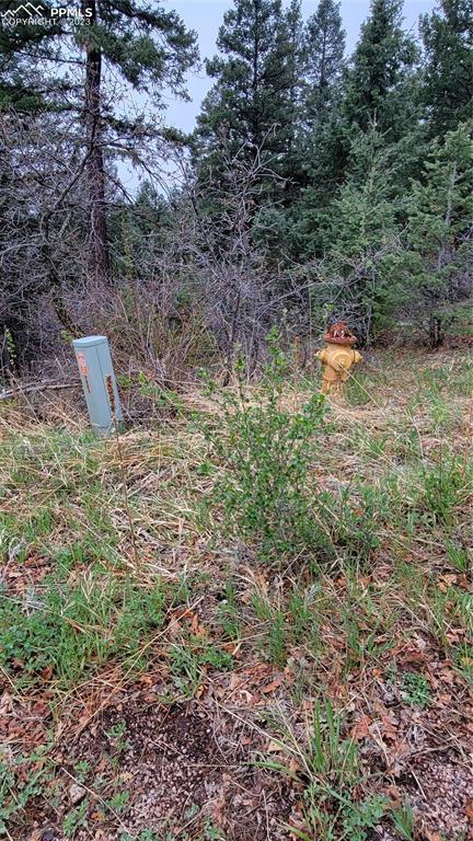 5325 Kulsa Rd, Cascade, CO 80809 photo 2