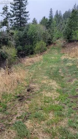 5325 Kulsa Rd, Cascade, CO 80809 photo 5