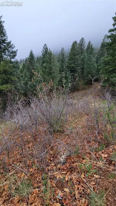 5325 Kulsa Rd, Cascade, CO 80809 photo 1