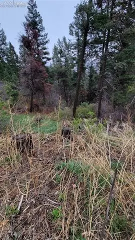 5325 Kulsa Rd, Cascade, CO 80809 photo 4