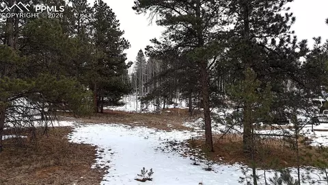 210 Rhyolite Ln, Florissant, CO 80816