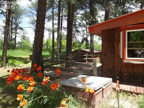 10403 Linger Longer Ln, Rye, CO 81069 photo 24