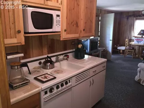 10403 Linger Longer Ln, Rye, CO 81069 photo 17