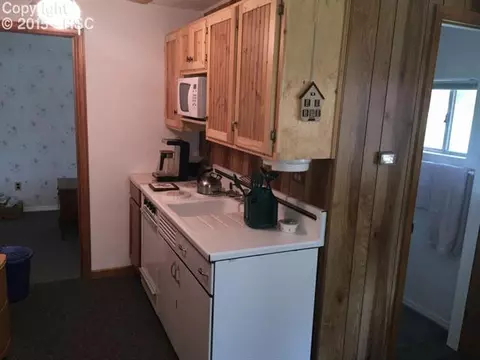 10403 Linger Longer Ln, Rye, CO 81069 photo 18