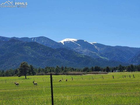 10199 Singer Ln, Rye, CO 81069 photo 6