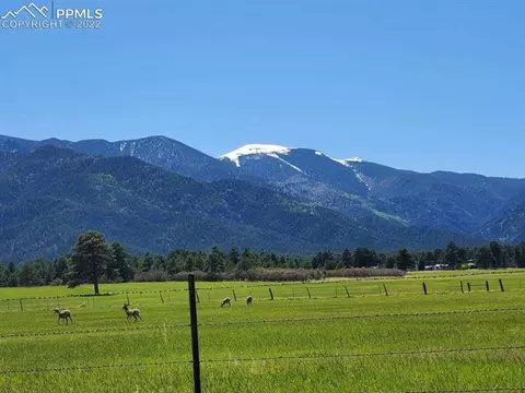 10199 Singer Ln, Rye, CO 81069 photo 6