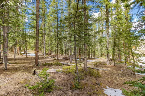 402 Silvermoon Hts, Divide, CO 80814 photo 1