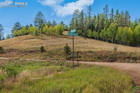 853 Valley Rd, Divide, CO 80814 photo 14