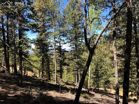 661 Homestead Rd, Divide, CO 80814 photo 5
