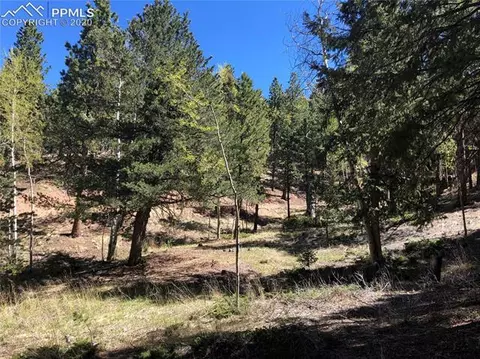 661 Homestead Rd, Divide, CO 80814 photo 2