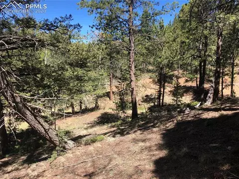 661 Homestead Rd, Divide, CO 80814 photo 3