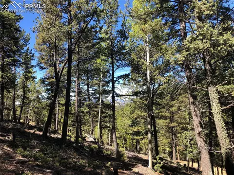 661 Homestead Rd, Divide, CO 80814 photo 1