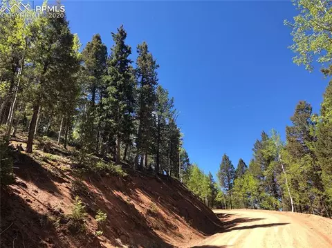 661 Homestead Rd, Divide, CO 80814 photo 6