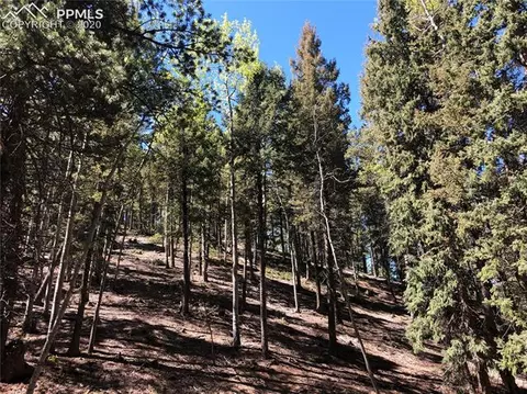 661 Homestead Rd, Divide, CO 80814 photo 4